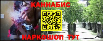 шишки Тулун