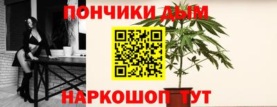 шишки Тулун