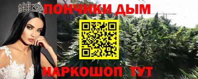шишки Тулун