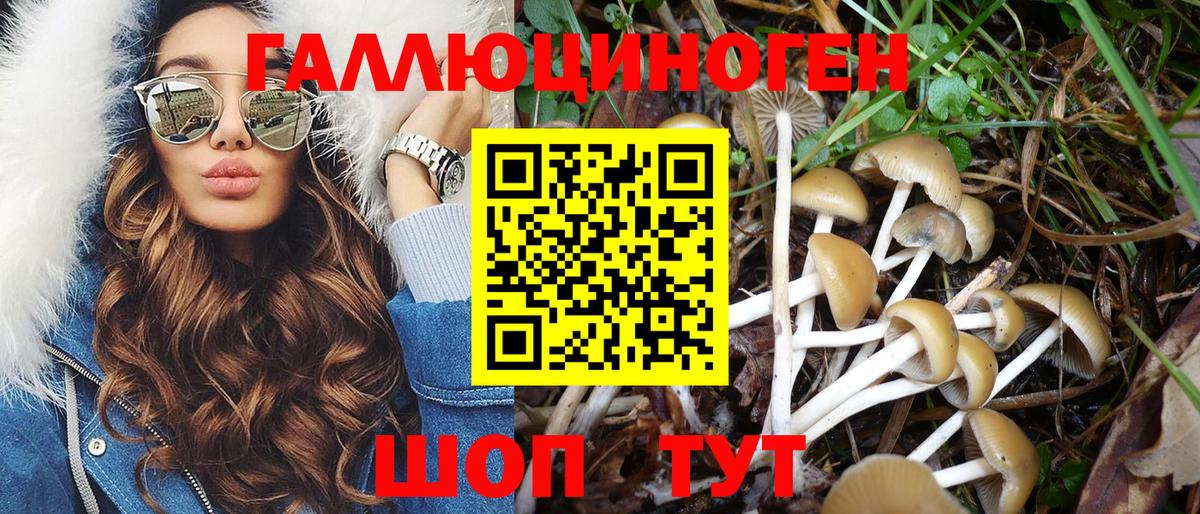 ГАШ Мыски