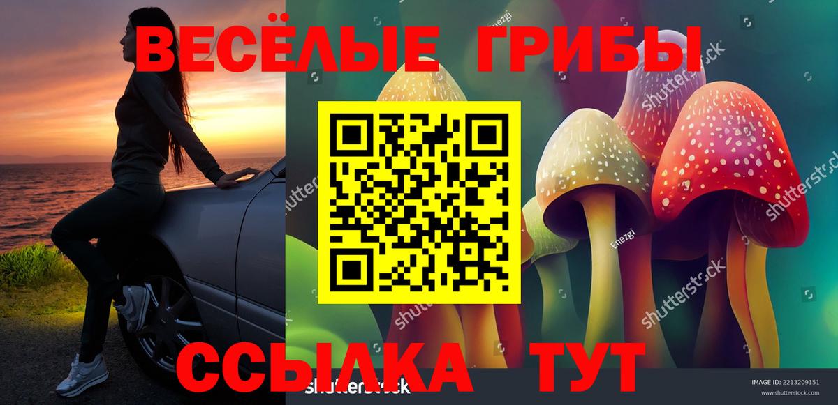 Галлюциногенные грибы Psilocybine cubensis  Псилоцибиновые грибы прущие грибы  Мыски  купить наркотик  Вход с VPN 
